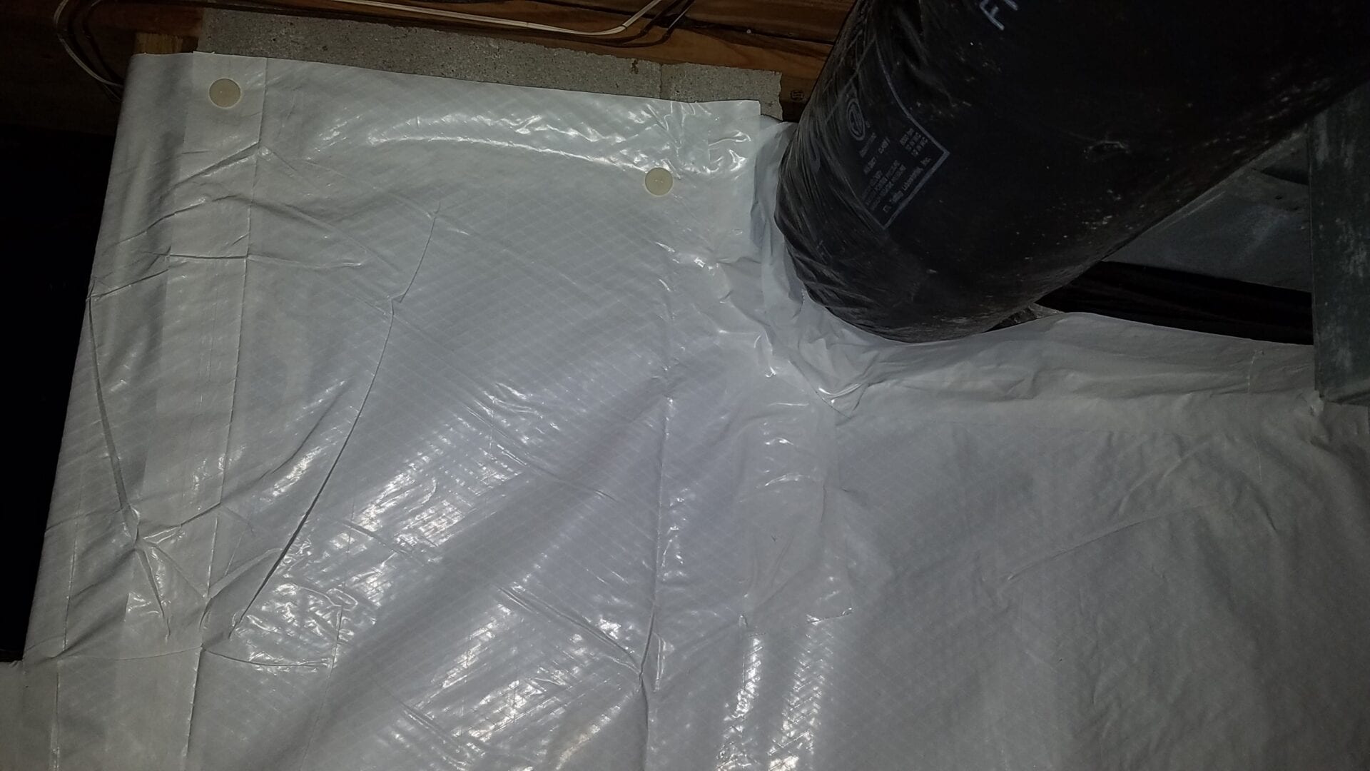 Mold removal being performed under the floor