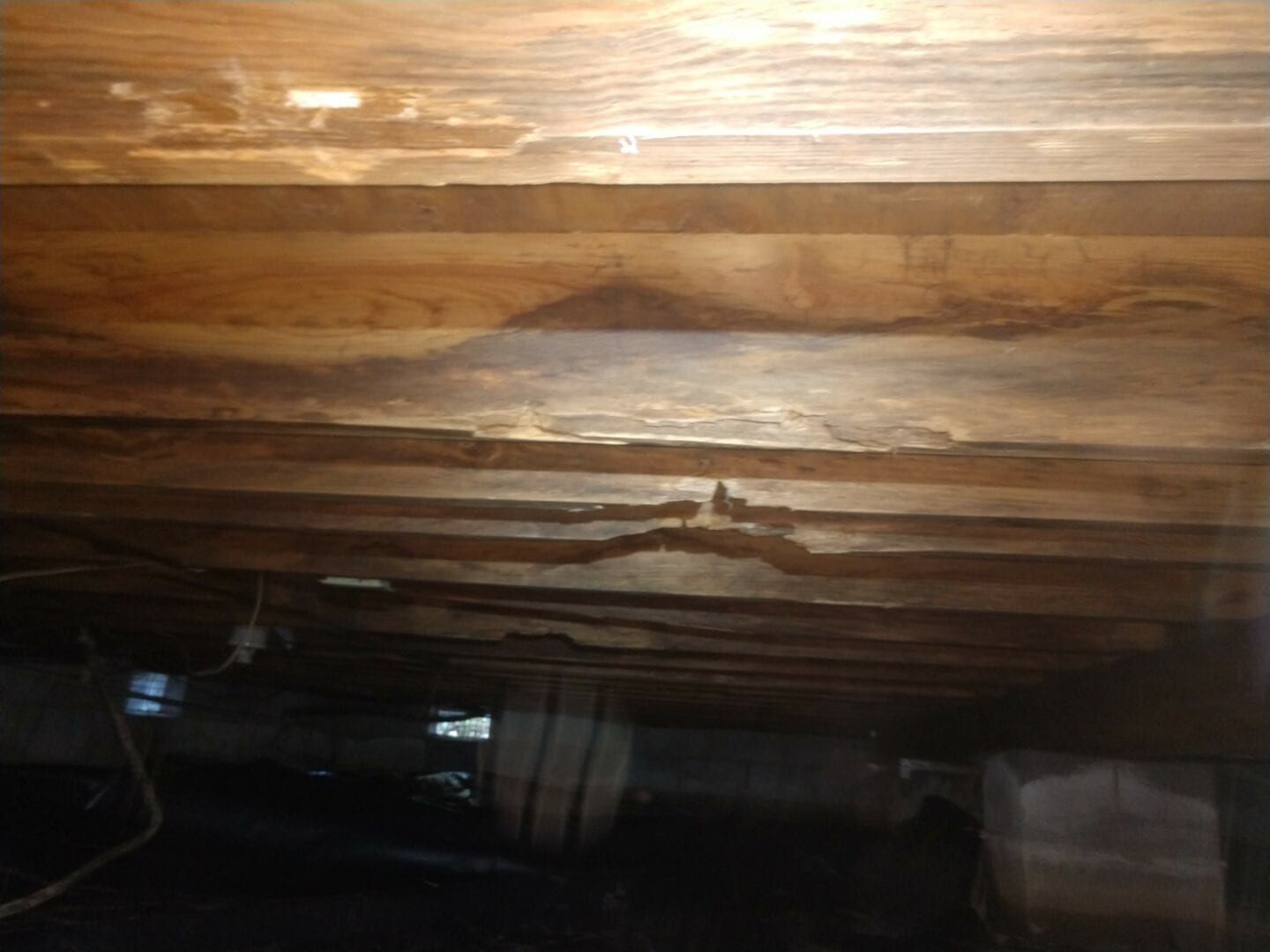 wooden ceiling affected by moisture problem