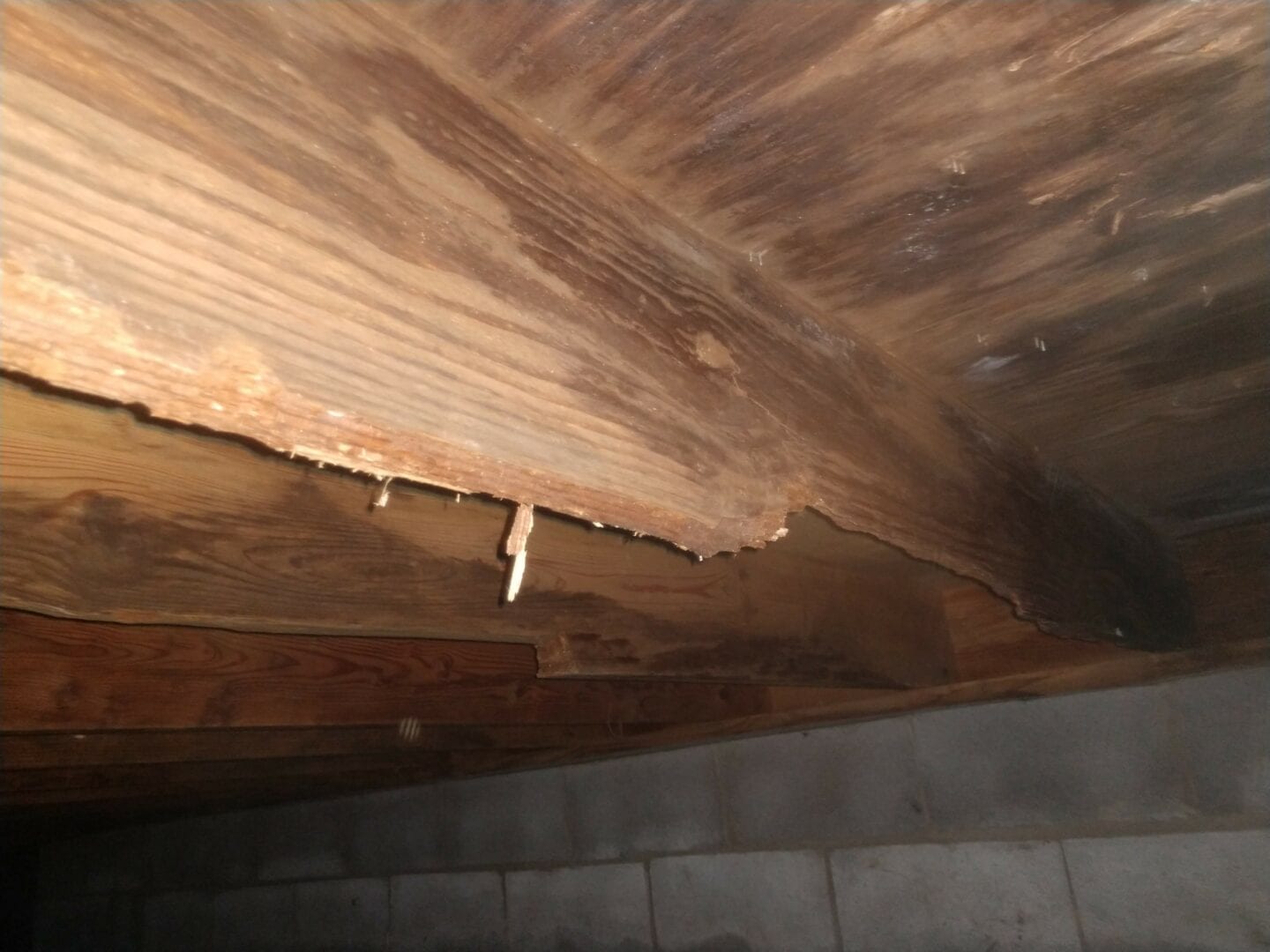 wooden floor affected by moisture problem